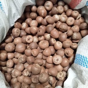 WhatsApp Image 2024-05-22 at 1.24.01 PM WhatsApp Image 2024-05-22 at 1.24.01 PM