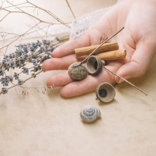 anthony-ievlev-ypCHcBPylZ4-unsplash